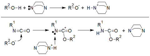 胺催化的聚合机理