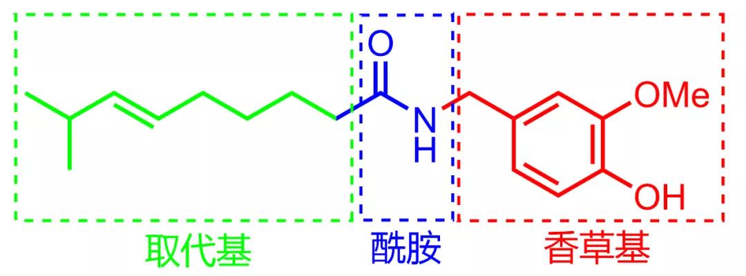 酰胺结构